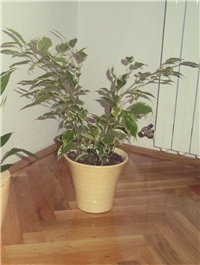 4f36f6e5-Picture 158.jpg